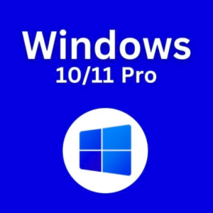 Windows 10 / 11 Professional