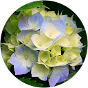 giionescu giionescu profile picture